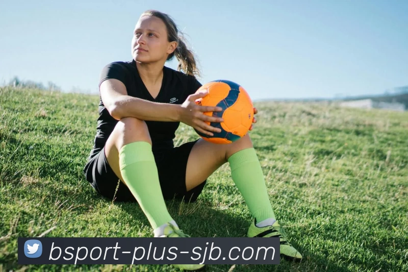 B体育，B体育官网，B体育入口，B体育APP，B体育平台平台生态图